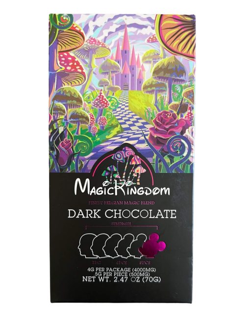 magic kingdom chocolate