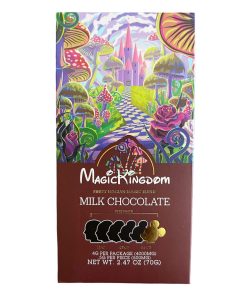 magic kingdom chocolate